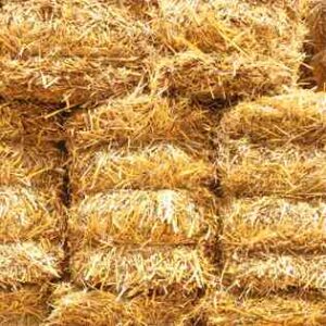 ‘Build It with Bales’ Offers Instruction on Building Straw Bale Homes Image